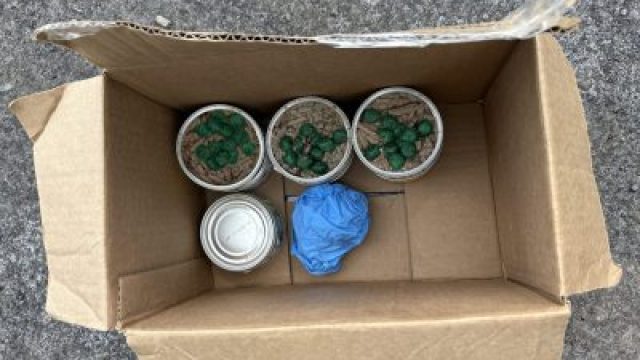 Urgent Warning: Contaminated Cat Food Di