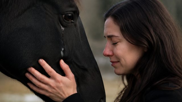 Emotional Farewell: What Season 4 of 'The Way Home' Means for Devoted Fans