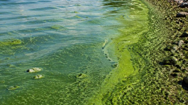 Understanding the Broader Environmental 