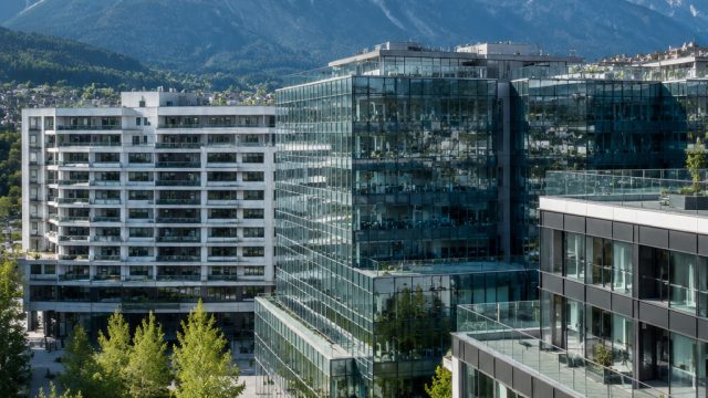 Alpine PINE's Q2 Performance: Insights i